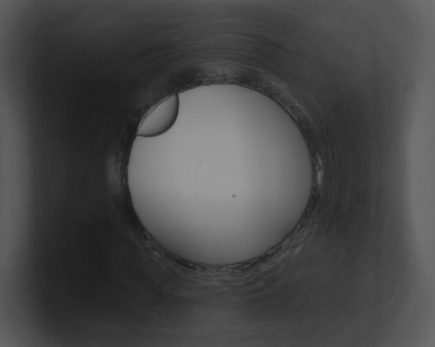 X0000100970819200806241202