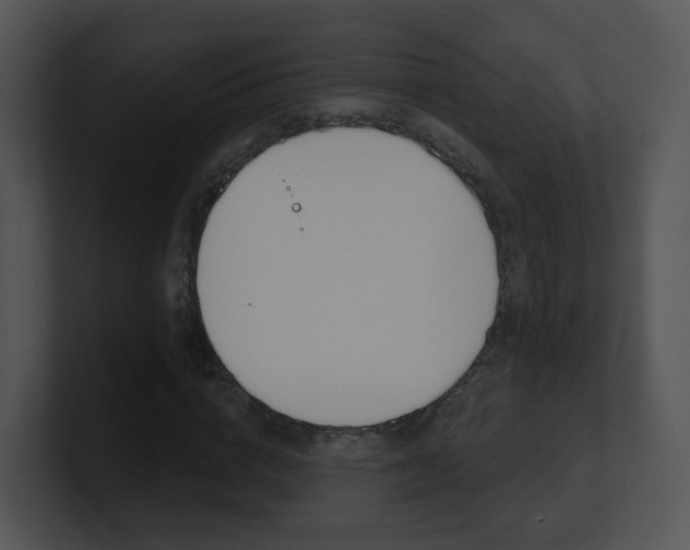 X0000100970824200806241202