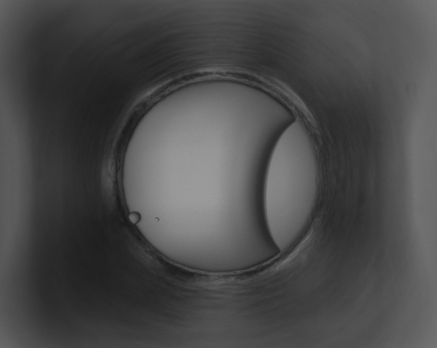 X0000100970831200806241202