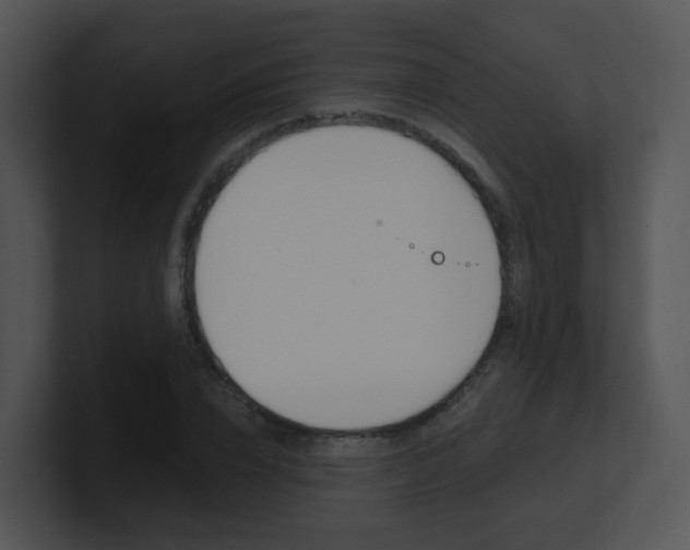X0000100970832200806241202