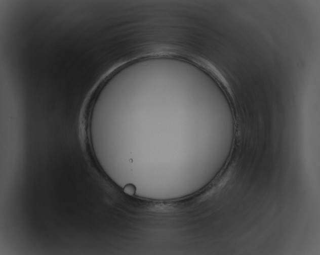 X0000100970835200806241202