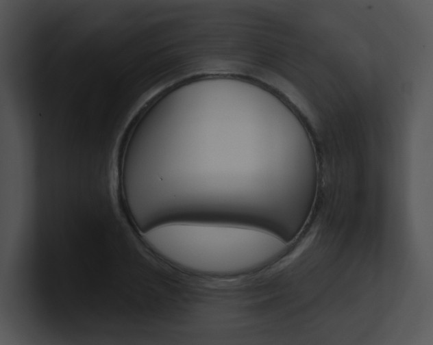 X0000100970837200806241202