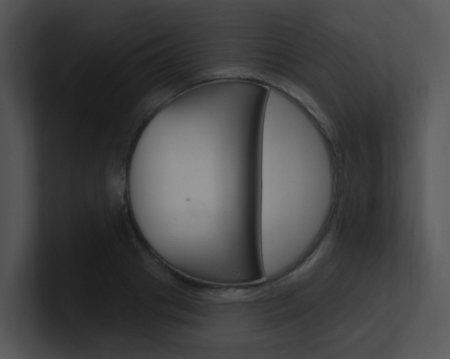 X0000100970841200806241202