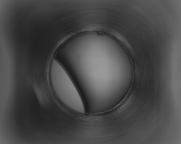 X0000100970842200806241202