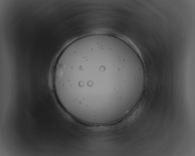 X0000100970851200806241202