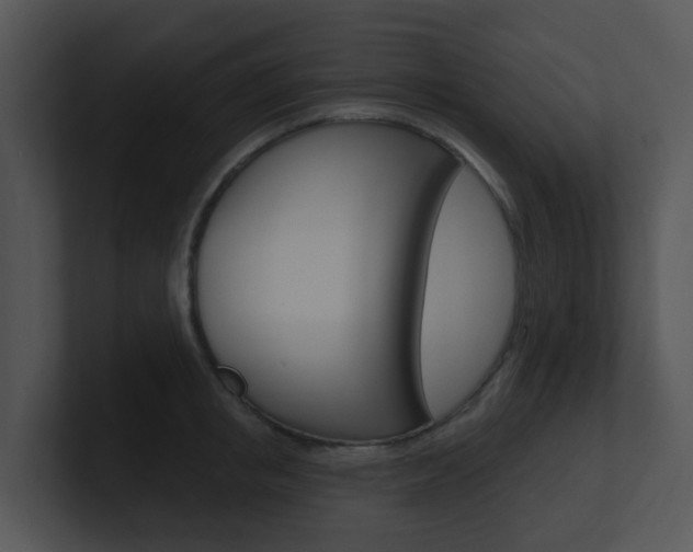 X0000100970853200806241202