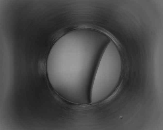 X0000100970857200806241202