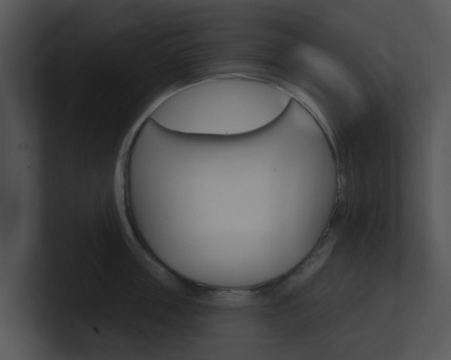 X0000100970859200806241202