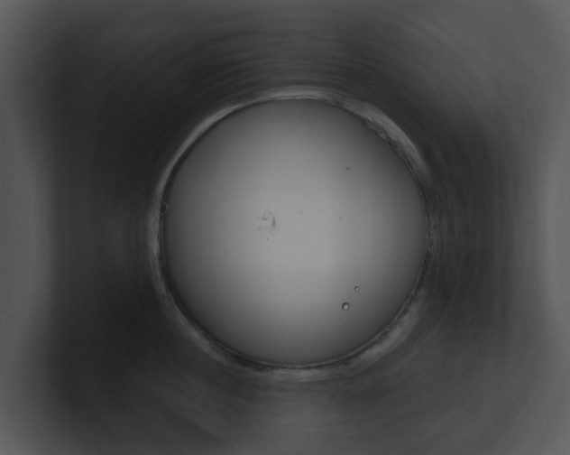 X0000100970860200806241202