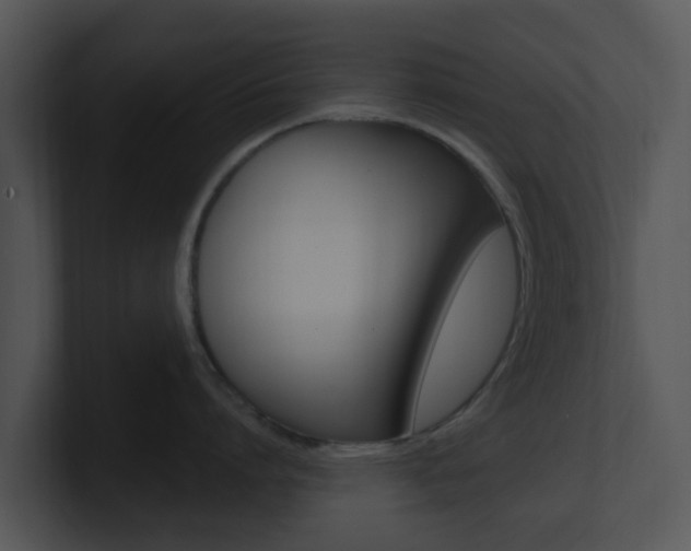X0000100970864200806241203