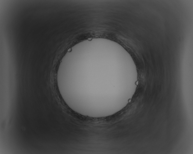 X0000100970865200806241202
