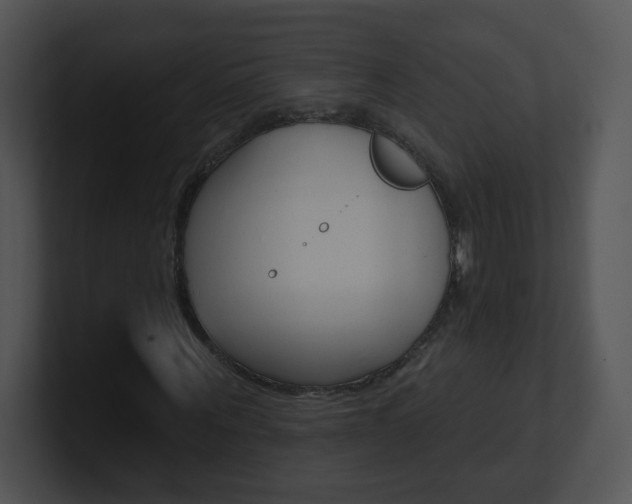 X0000100970867200806241202