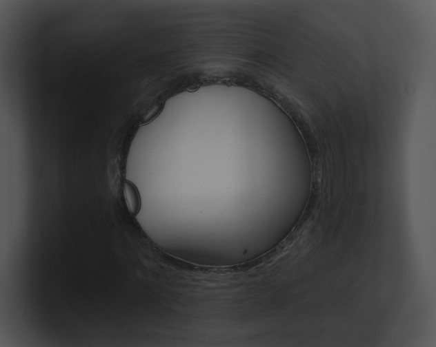 X0000100970868200806241202