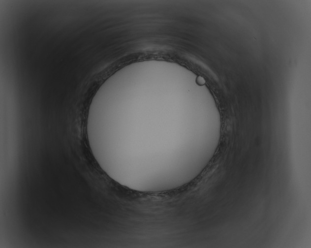 X0000100970869200806241202
