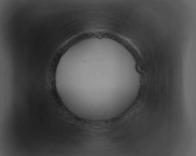 X0000100970871200806241202