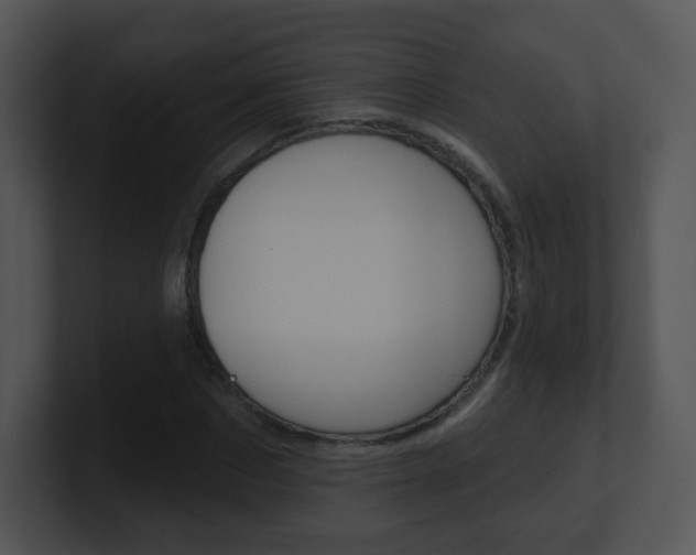 X0000100970873200806241202