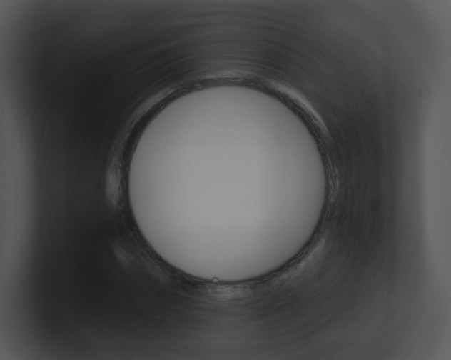 X0000100970874200806241202