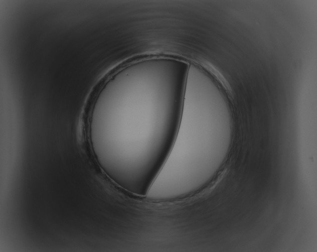 X0000100970876200806241202