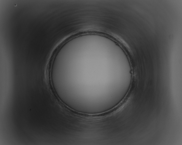X0000100970877200806241202