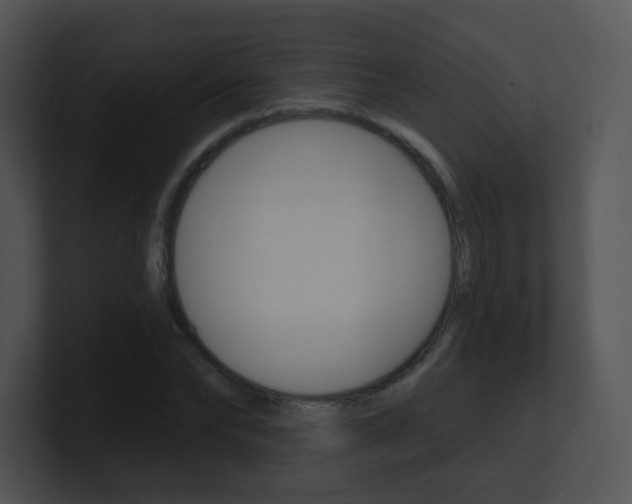 X0000100970878200806241202