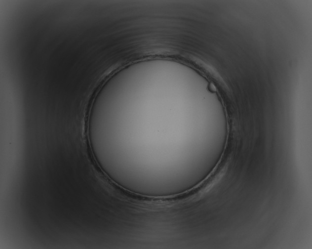 X0000100970881200806241202