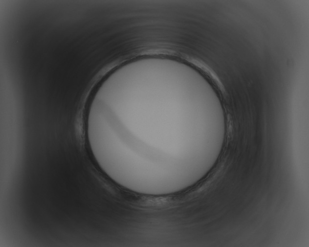 X0000100970882200806241202