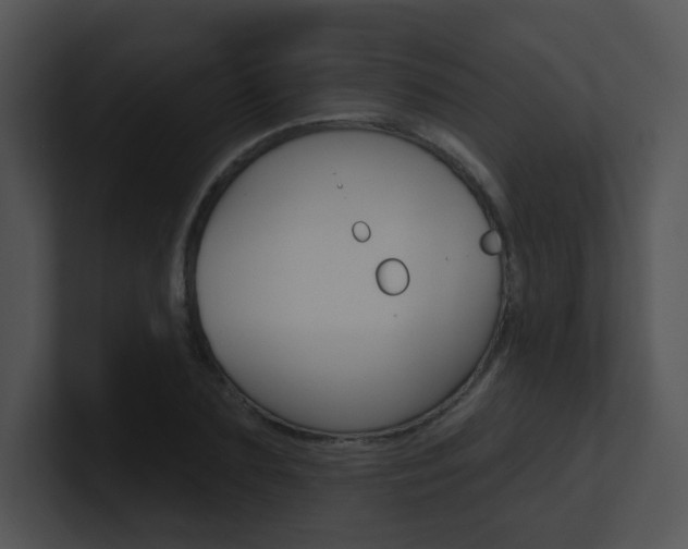 X0000100970883200806241202