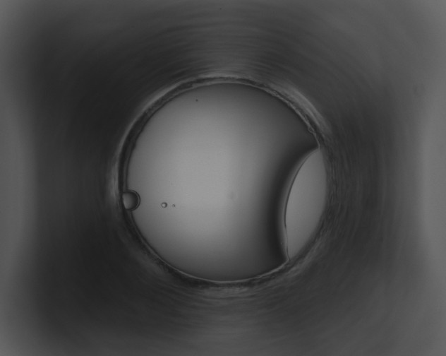 X0000100970884200806241202