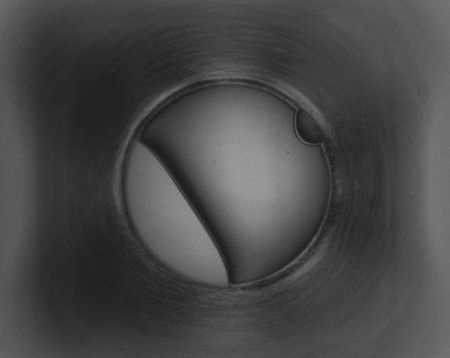 X0000100970885200806241202