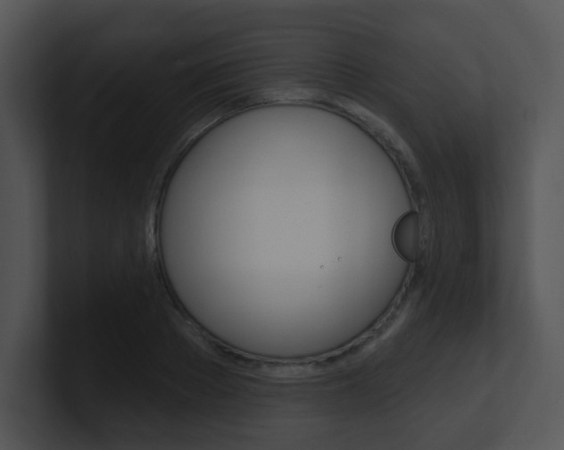 X0000100970889200806241202