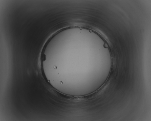 X0000100970891200806241201