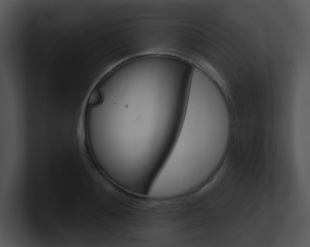 X0000100970892200806241201