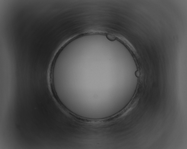 X0000100970893200806241201