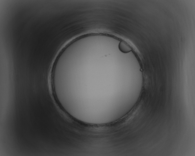 X0000100970895200806241201