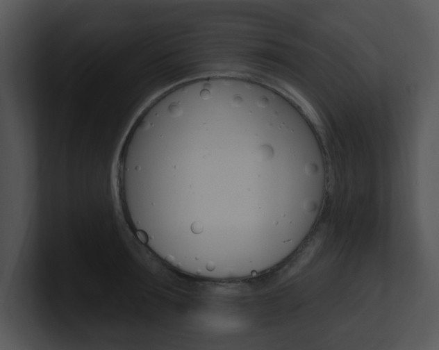 X0000100970899200806241201