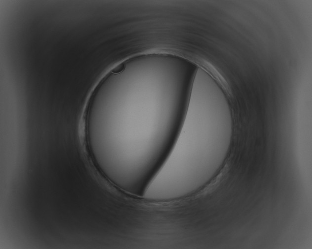 X0000100970900200806241201