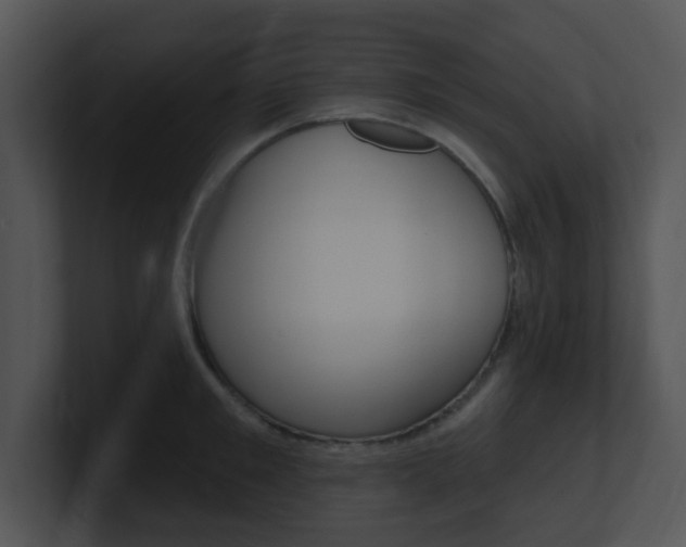 X0000100970901200806241201