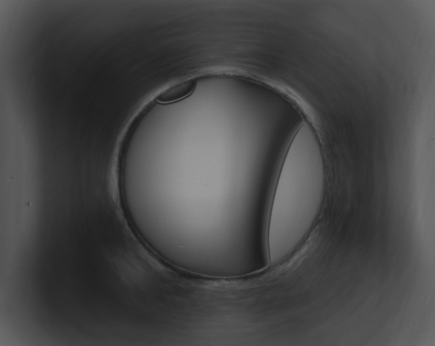 X0000100970902200806241201