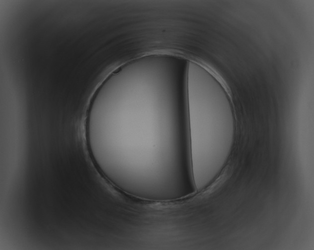 X0000100970906200806241201