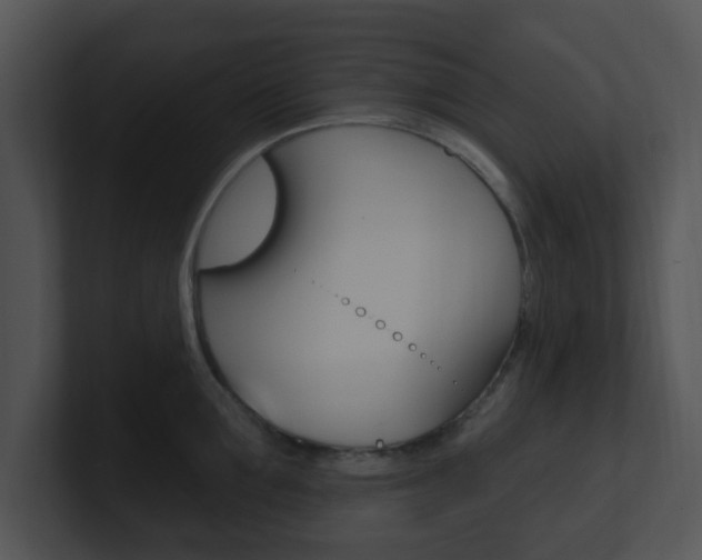 X0000100970907200806241201
