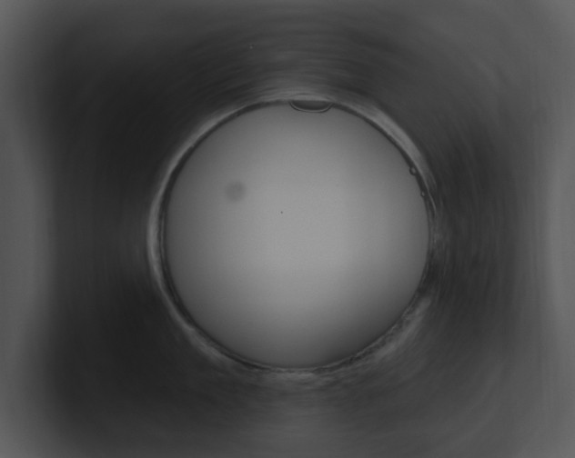 X0000100970909200806241201