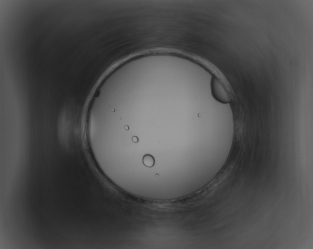 X0000100970911200806241201