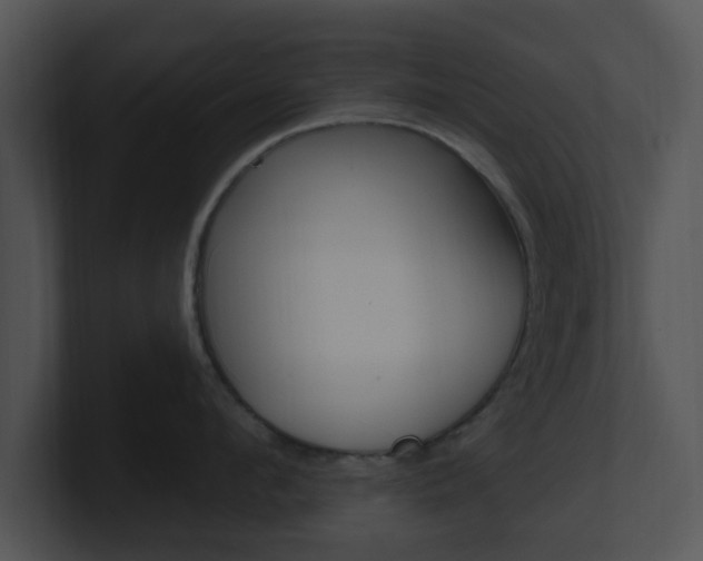 X0000100970912200806241201