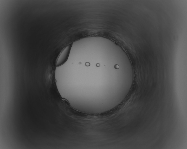 X0000100970914200806241201