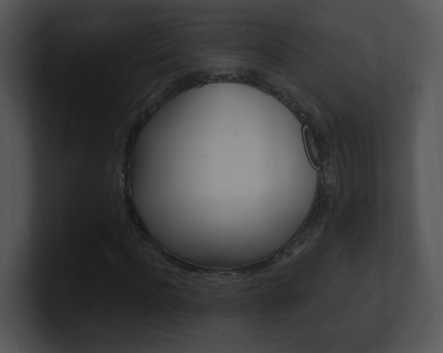 X0000100970916200806241201