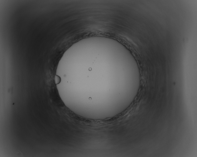 X0000100970917200806241201