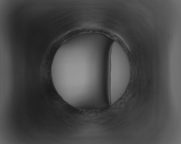 X0000100970919200806241201