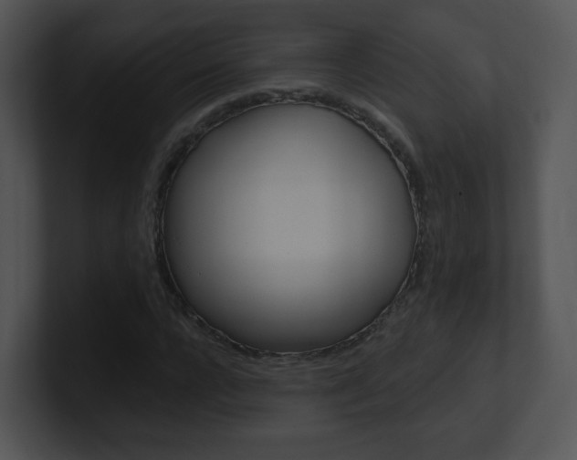 X0000100970920200806241201