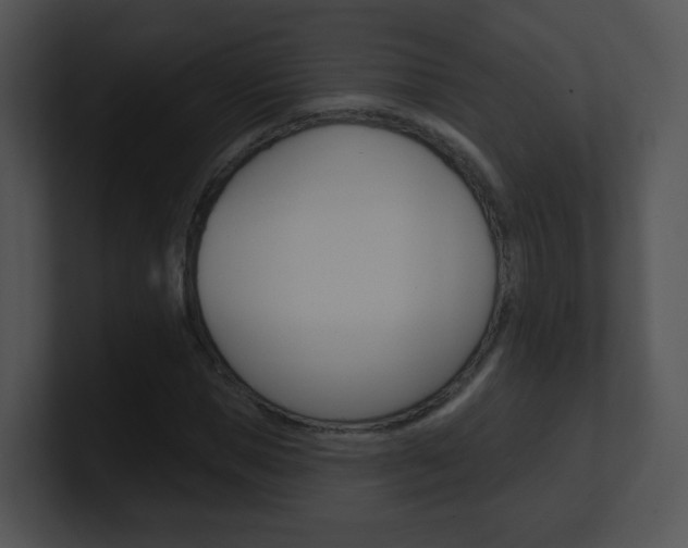 X0000100970921200806241201