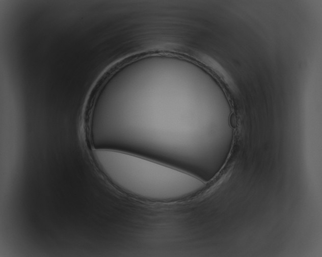 X0000100970924200806241201